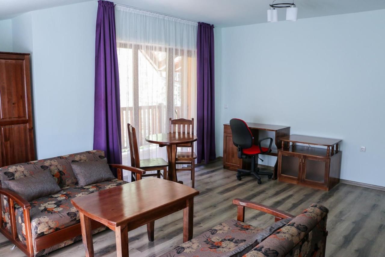 Гостевой дом Guesthouse Aida Breznitsa