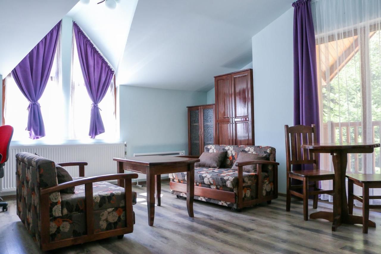 Гостевой дом Guesthouse Aida Breznitsa-33