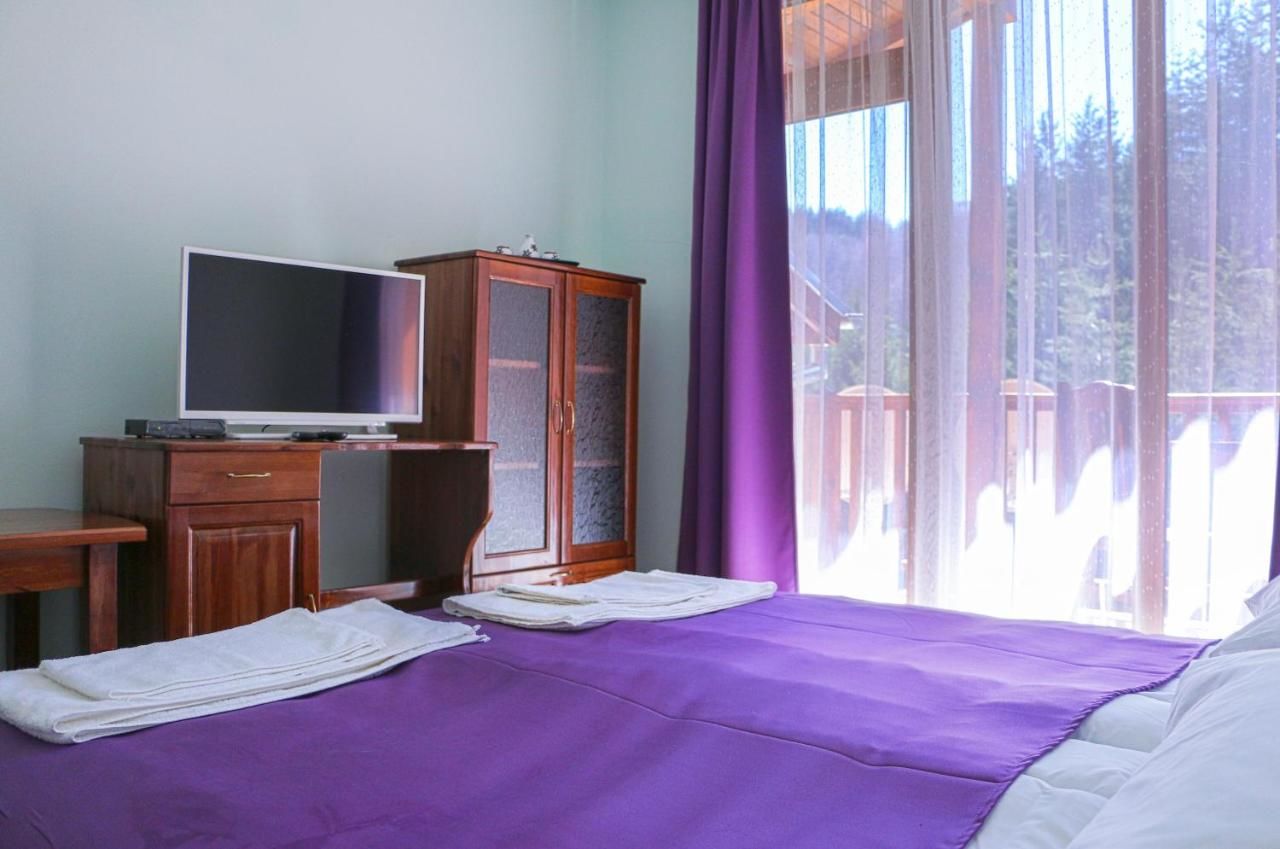 Гостевой дом Guesthouse Aida Breznitsa-34